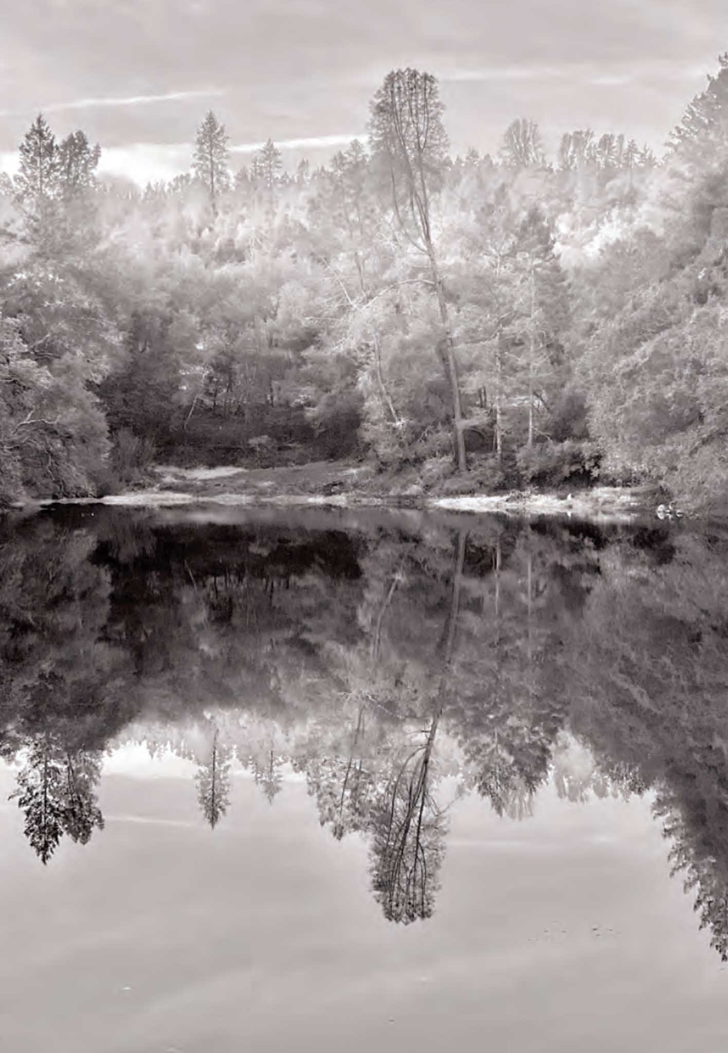 Lake reflection